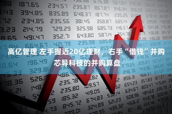 高亿管理 左手握近20亿理财,右手“借钱”并购 芯导科技的并购算盘