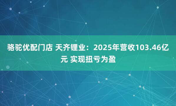 骆驼优配门店 天齐锂业：2025年营收103.46亿元 实现扭亏为盈